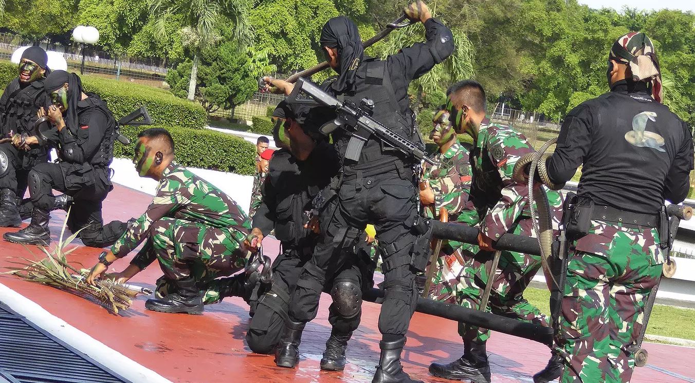 indonesian troops